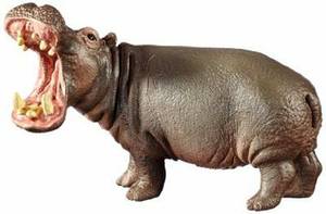 schleich hippopotamus
