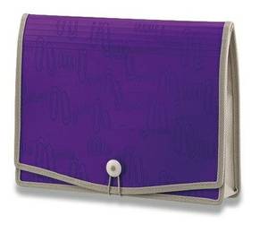 i-Clip Attache File Purple