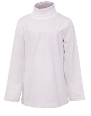 Turtle Neck Blouse