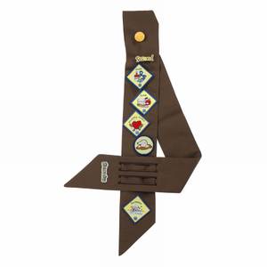 BROWNIES SASH