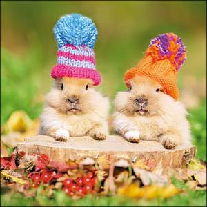 Woodmansterne Peekaboo Bunnies Card (429385)