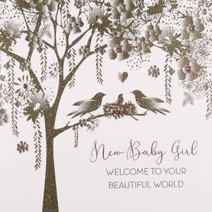 Five Dollar Shake New Baby Girl Card (GS43)