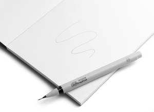 Winsor & Newton Fineliner Black 0.3 (7001020)