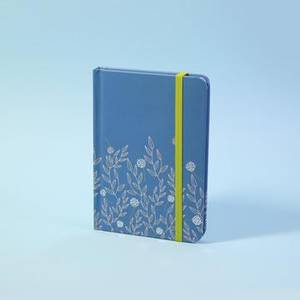 Boxclever Press Password Journal (Un_Pwj-1)