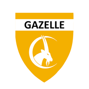 JBS-JP GAZELLE BADGE - YOUTH