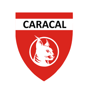 JBS-JP CARACAL BADGE - YOUTH